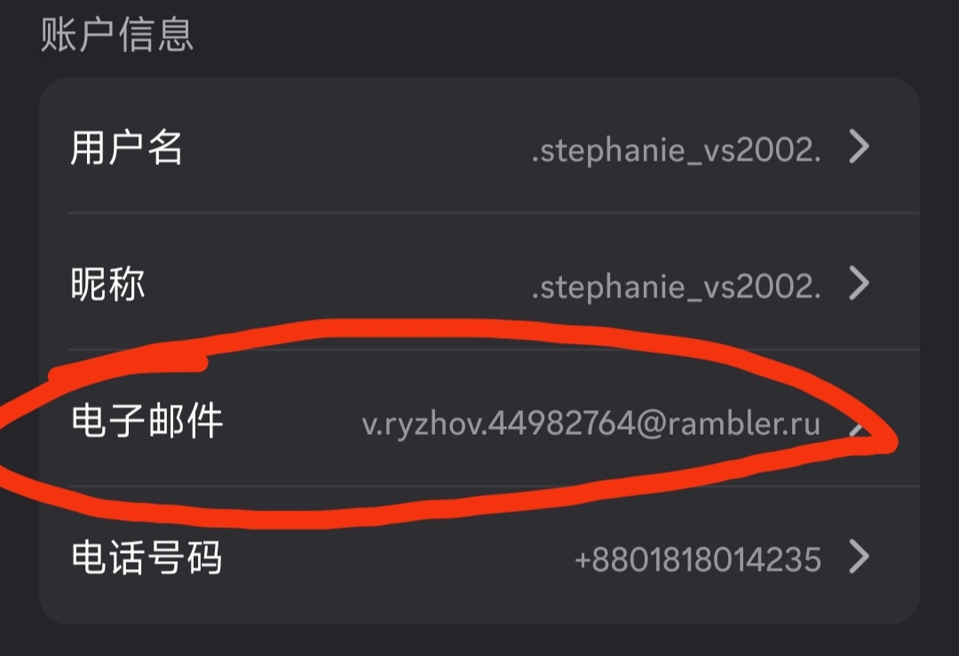 第 13 步：点击电子邮件