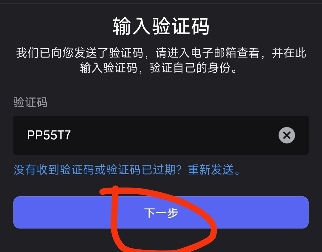 第 16 步：输入验证码并点击下一步